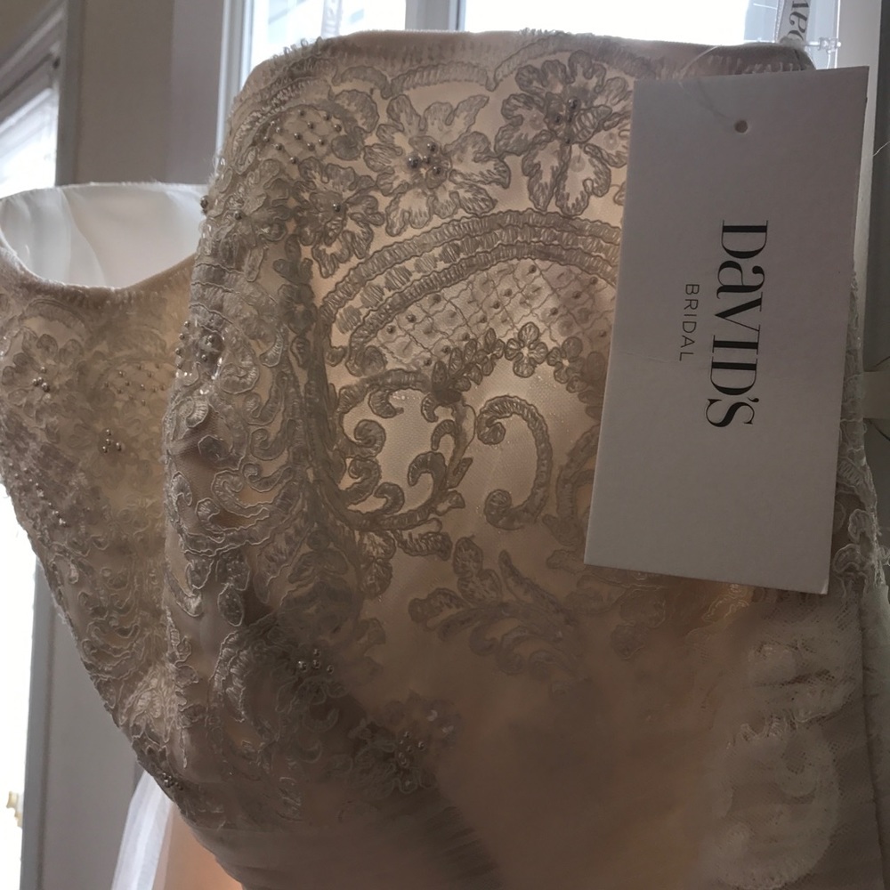 Beautiful Summer Wedding Dress! Size 16W. - Picture 5 of 13